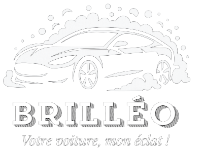 Logo Brilleo